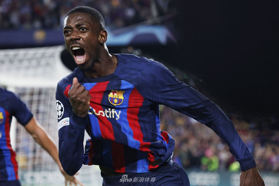 的观点揭示 的观点揭示